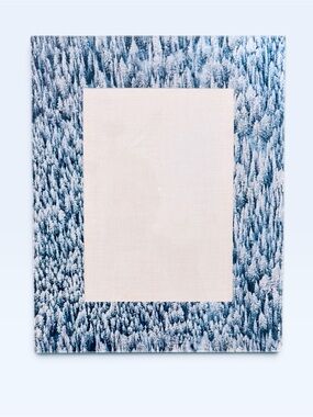 Gray Malin Alpine Snowy Forest Acrylic 5x7 Picture/Frame 8x10